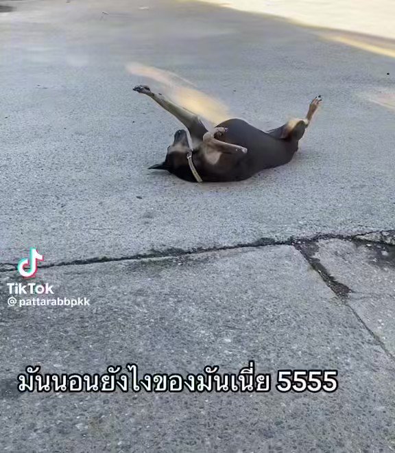 มึงเรียนยิมนาสติกติ 555555555555555555 555555555555555555555กุไม่ไหว55555 ตร่กก555555555555555555555555555