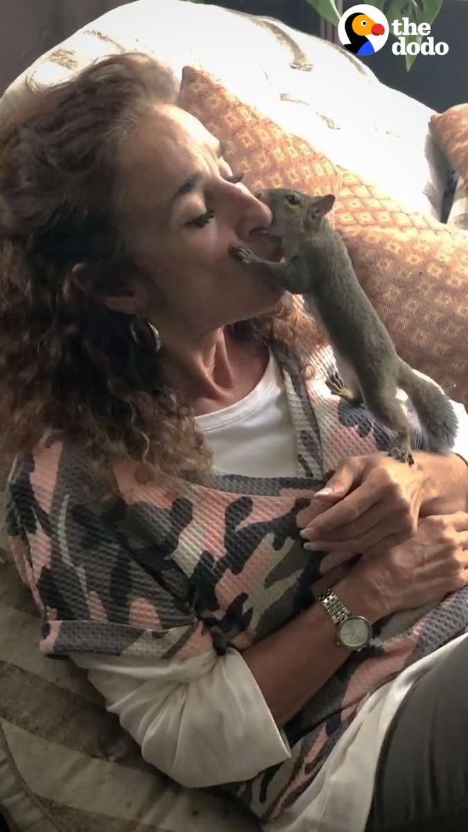 Woman rescues a baby squirrel — and 4 years later, he still comes back every day for kisses on her porch 🖤