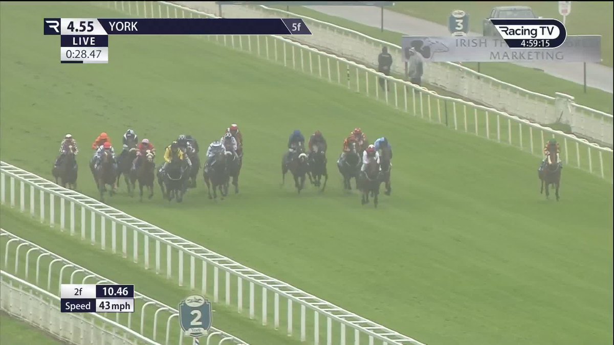 Copper Knight at York Racecourse: 🏇 24 runs 🥇 Seven wins 😍 The nine-year-old loves the Knavesmire & wins for Tim Easterby Racing & Seán Kirrane
