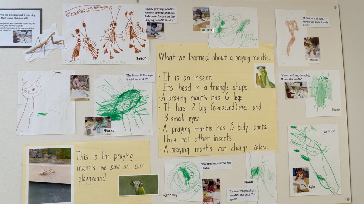 By sharing photographs, objectives, and samples in hallways and on bulletin boards, pre-k educators can shift from decorating to documenting learning. And both students and will families benefit.