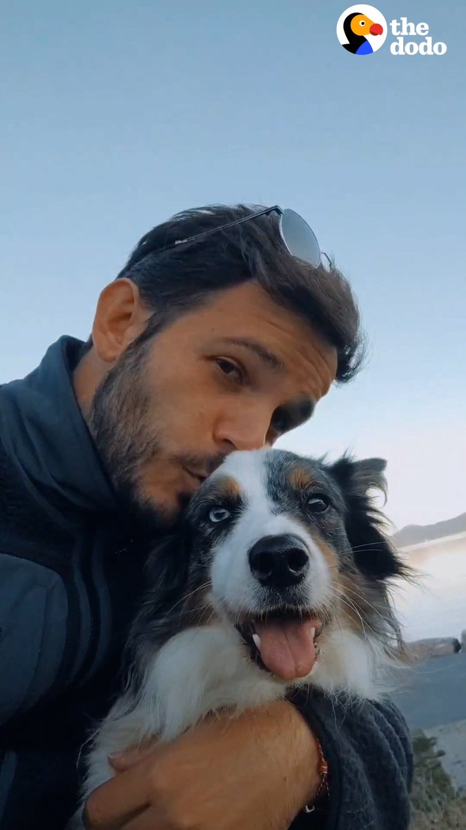 Guy does this "because life is too short" 🐶💕
