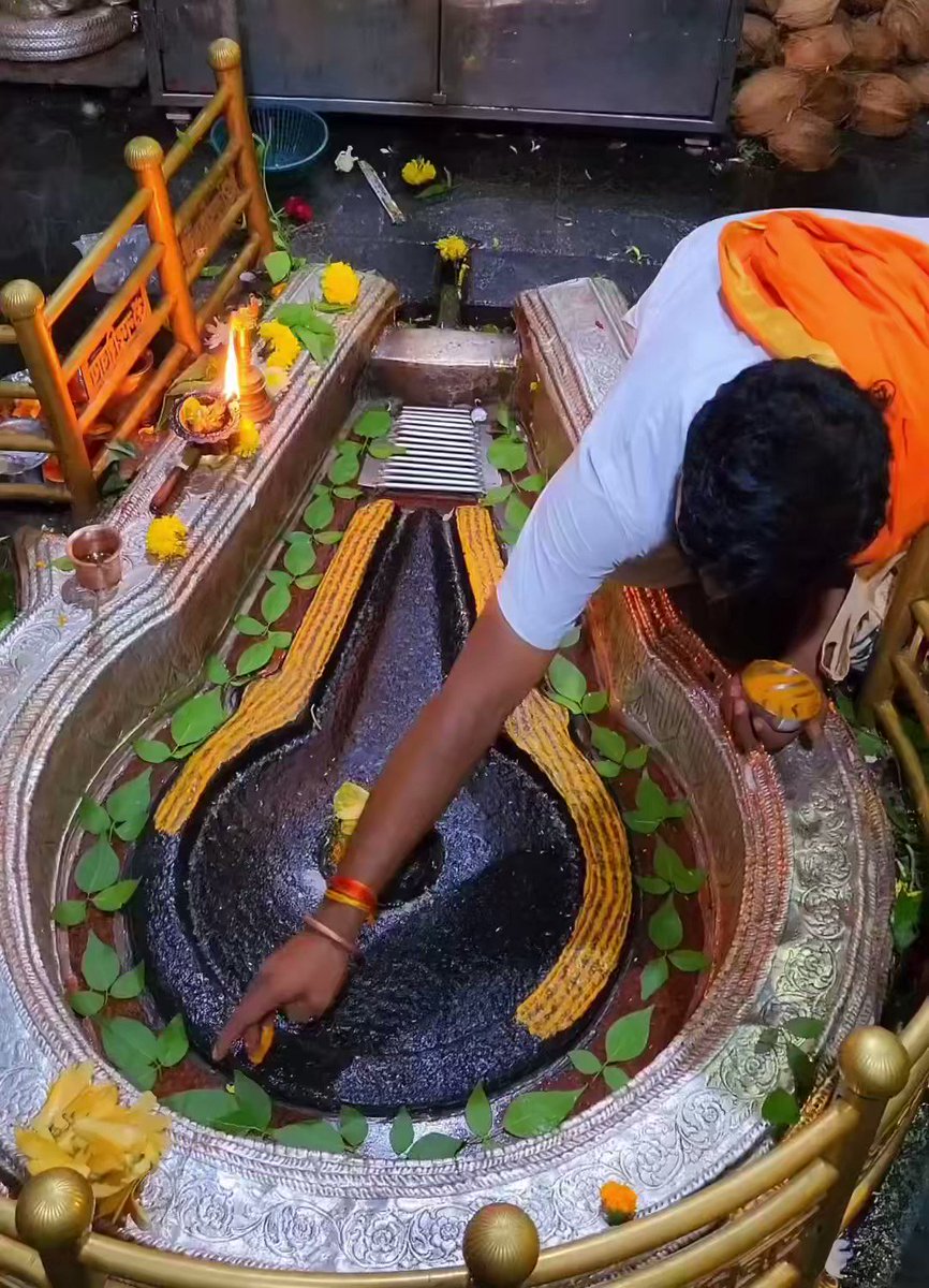 भीमाशंकर ज्योतिर्लिंग के दिव्य अलौकिक चंदन चर्चित दर्शन☘️