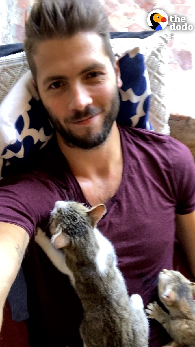 Guy walks around his town in Tuscany with his two rescue kittens attached to him like Velcro😻