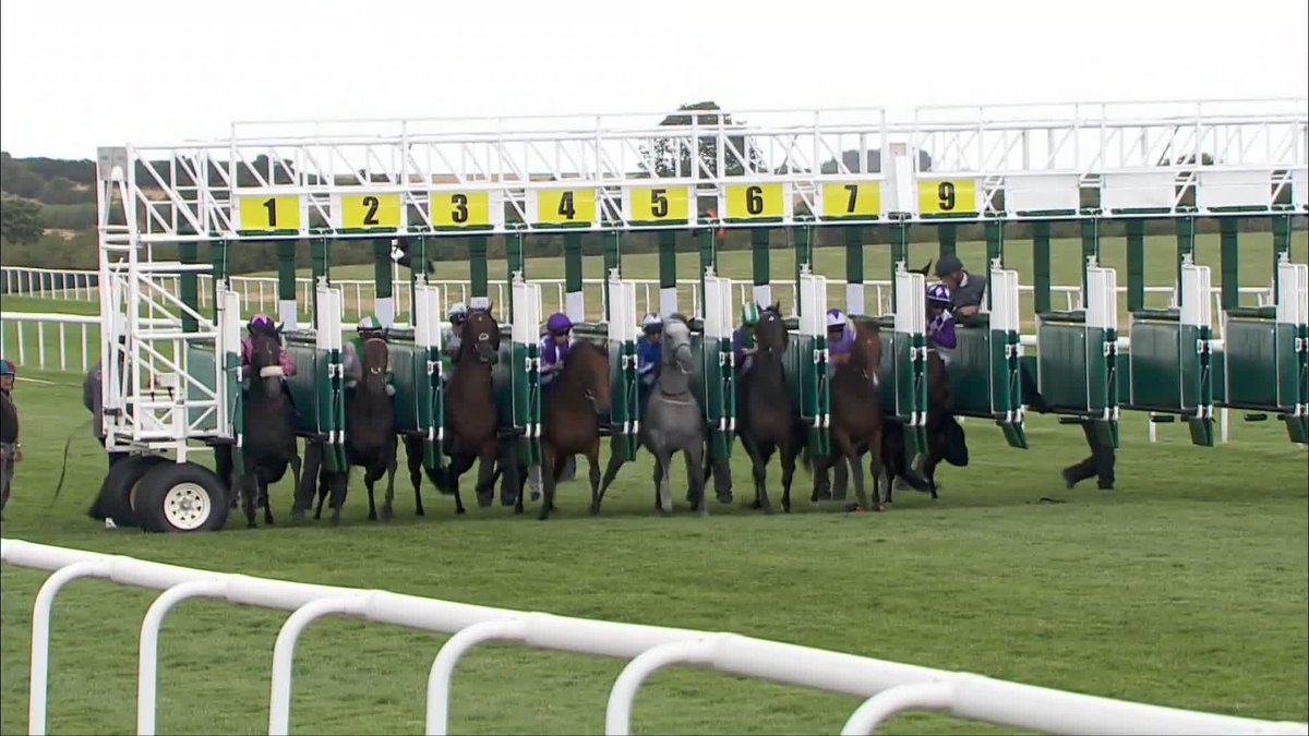🗣 "You can't explain how much better he must be than the others!" Shaquille misses the start AGAIN... And wins AGAIN! #ITVRacing | #JulyFestival | Julie Camacho Racing | Rossa Ryan
