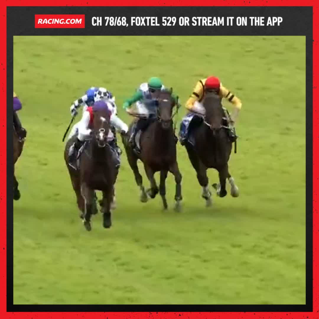 "He's a veteran, but I reckon he's the new kid on the block!" Bedford was all class in the Brendan Drechsler Hurdle 👌 Anthony & Sam Freedman Racing Tom Ryan