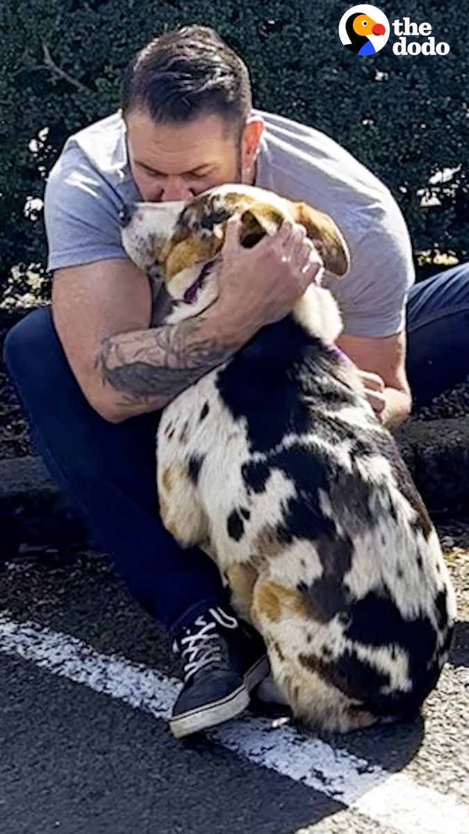 This scared dog wouldn't let anyone near him — watch the moment he melts into his new dad's arms