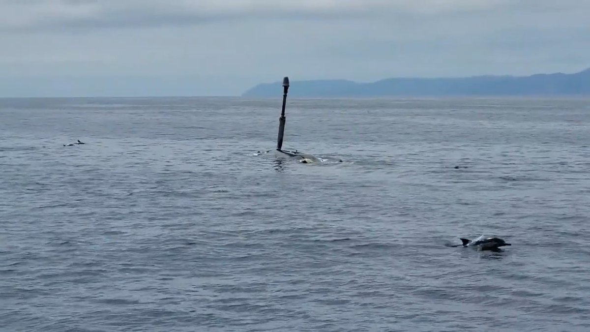 Check out our first released video of Orca XLUUV in-sea testing — with a dolphin pod cameo. 🐬 The U.S. Navy Orca XLUUV’s full, advanced #autonomy allows the vehicle to operate for months at a time in open, congested and contested waters with little-to-no human intervention.