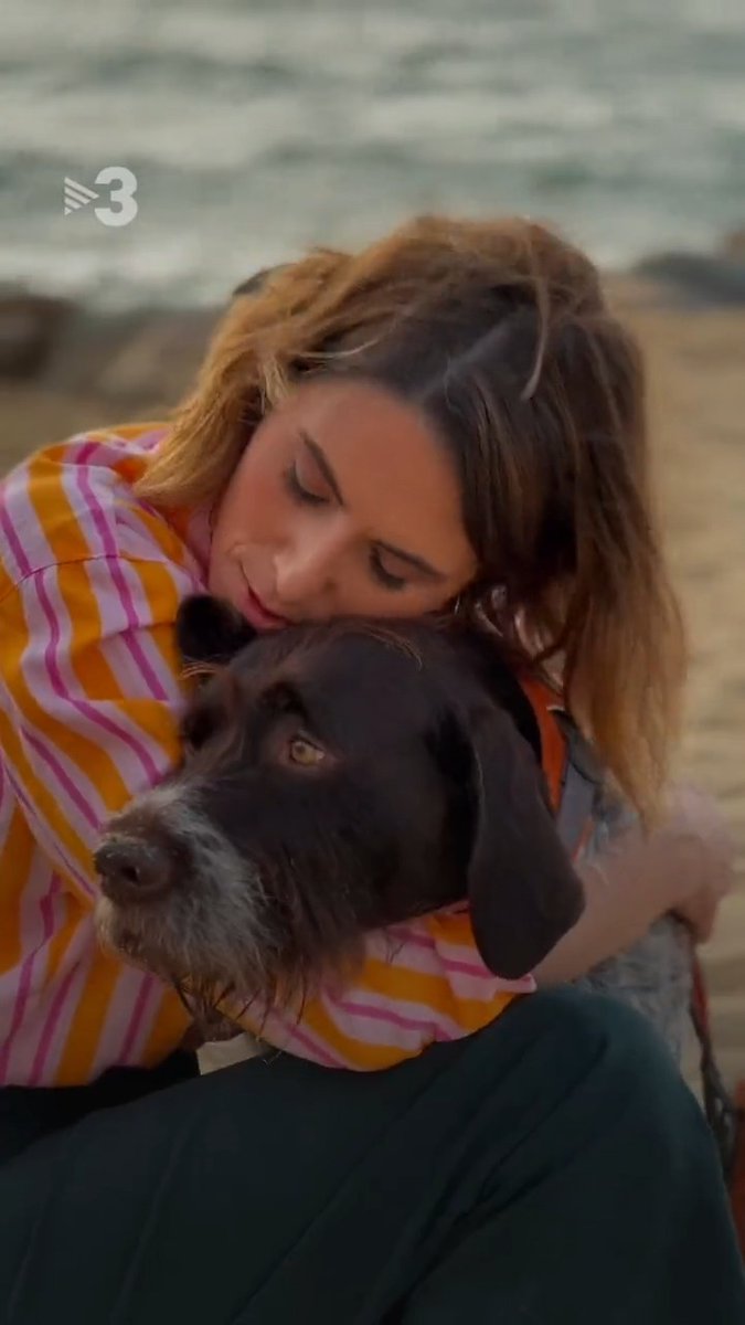 🐶 Vols fer match amb un gos i adoptar-lo? La candela figueras busca famílies que estiguin disposades a tenir un amor pelut per a tota la vida! 💞 Envia un correu a 📩 casting@citabestial.cat Molt aviat, #CitaBestialTV3 ℹ️