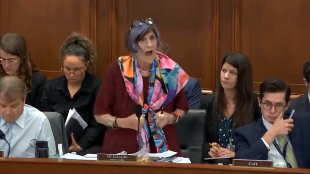 Democrat Rep. Rosa DeLauro comes unglued during a committee hearing and says Republicans are "terrorists" for disagreeing with her