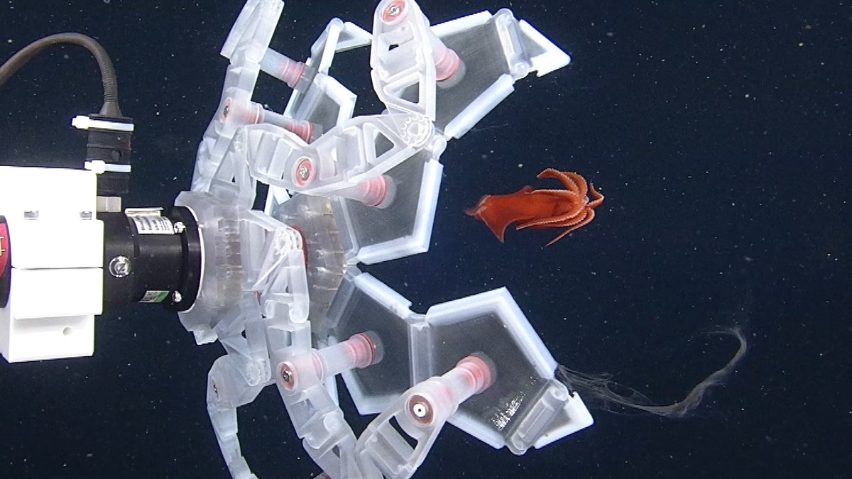 This gentle robot captures delicate sea creatures and collects data without harming them