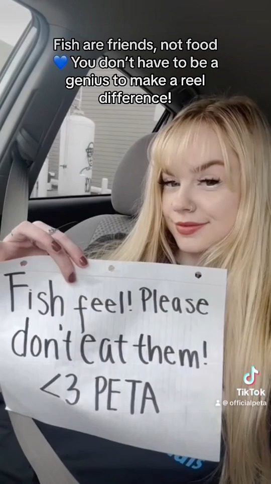 Fish are happier when you leave them alone 🐟 Since @ElonMusk is still struggling with the concept of compassion, we stopped by @Twitter HQ with a special delivery of delicious vegan fish 🌱