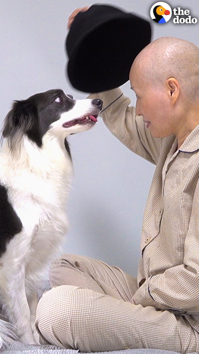 This is the most empathetic and loyal dog ever — watch her reaction when Mom comes home after months in the hospital ❤️
