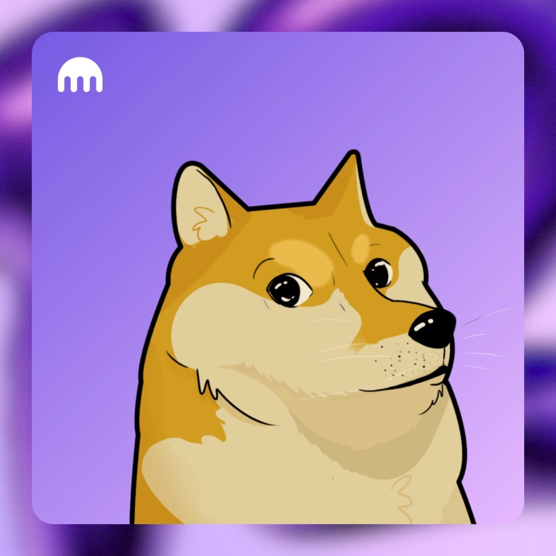 Doge Day 4. Doge. What else to say? 🐕 #kraken12