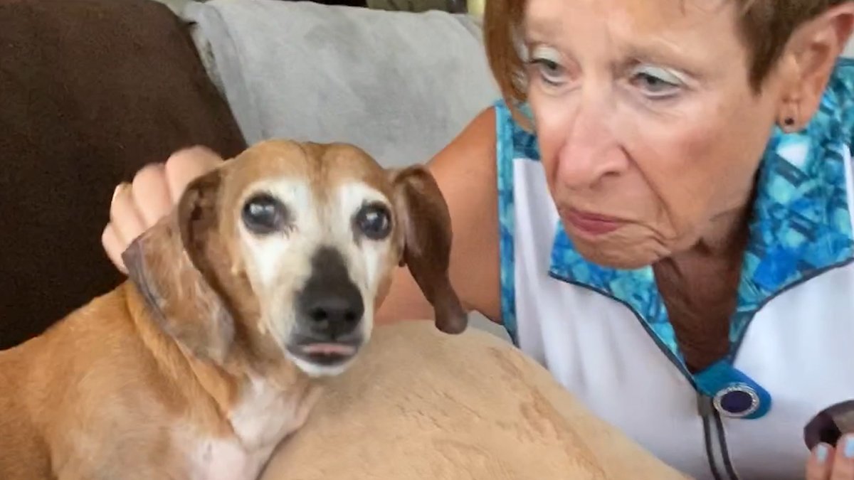 Pup is much less stubborn on walks with Grandma than with Mom 💕