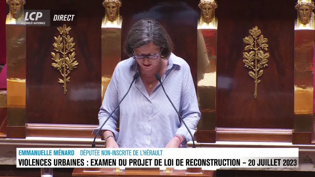 Violences urbaines : "[Ces casseurs et ces voleurs] sont français, mais seulement de papier", déclare Emmanuelle Ménard. #DirectAN