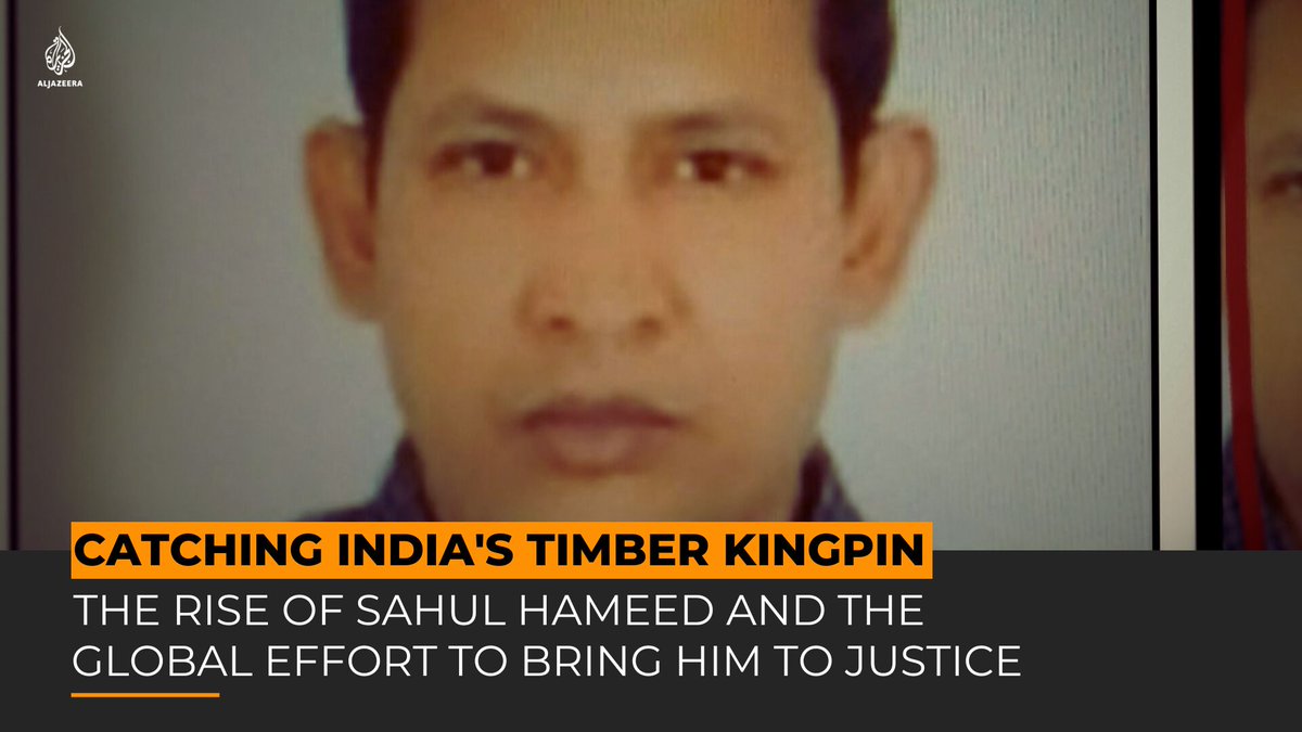 Accused of being one of India’s most notorious timber traffickers, Sahul Hameed, is reportedly living large in Dubai. Can Indian law enforcement agencies and Interpol bring him to justice? 101 East follows the hunt: