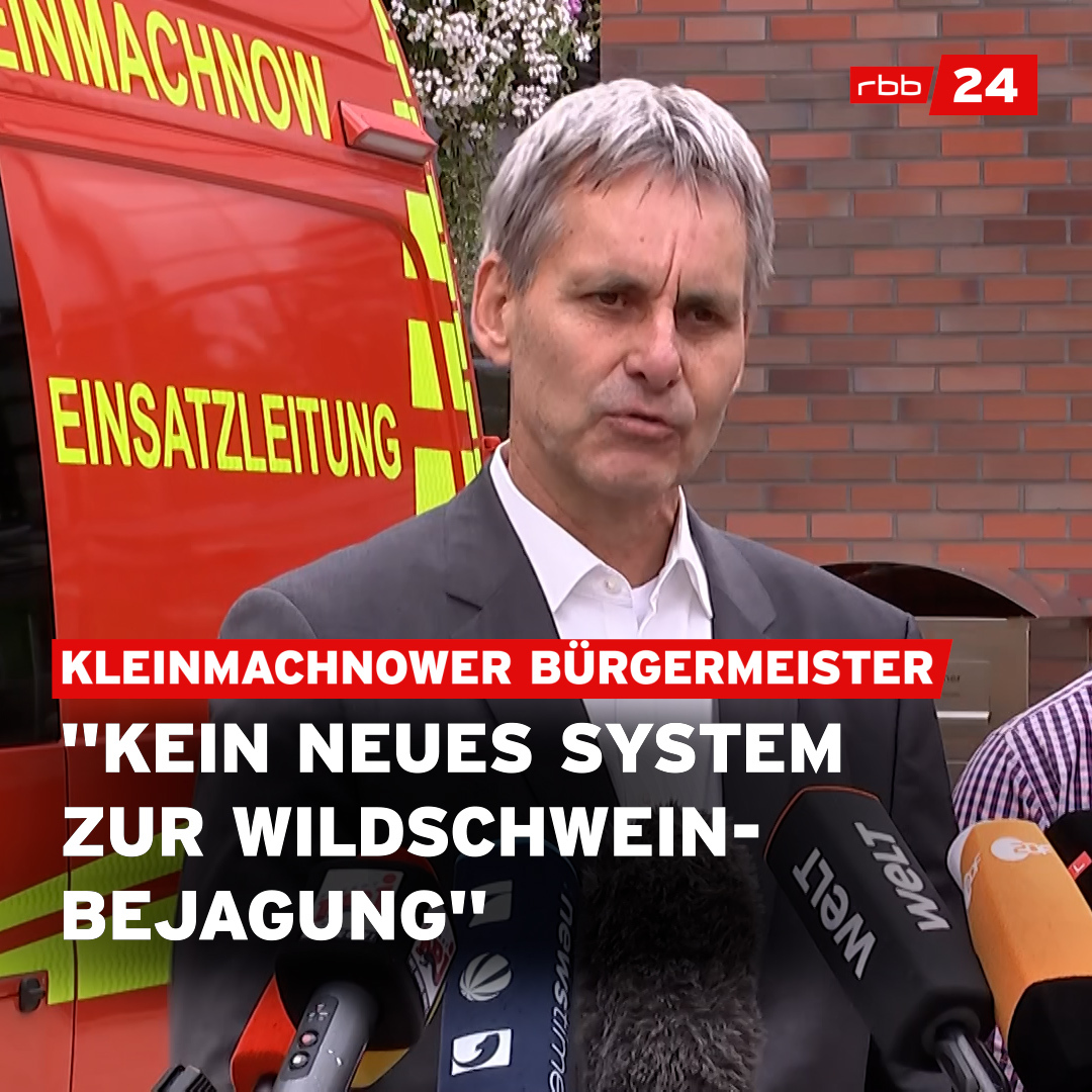 Ok. Hätten wir das auch geklärt. #Brandenburg #Löwin