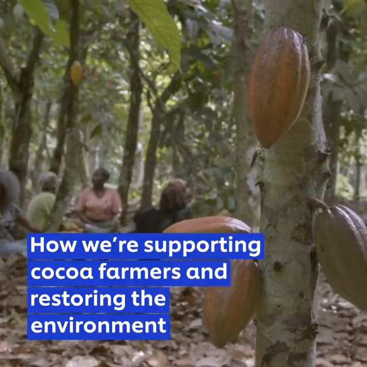 We’re supporting cocoa farmers in Côte d’Ivoire, empowering them to protect and regenerate farms and forests. Learn more about our work to create a deforestation-free supply chain. ⬇️ #Unilever #UnileverInsights
