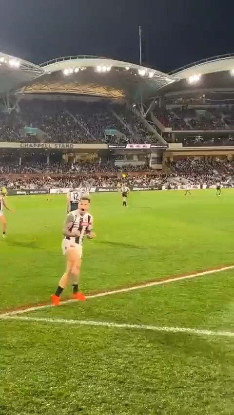 Best seat in the house for Jamie Elliott's match winner 😍 (via: cattiverajesse/Instagram)