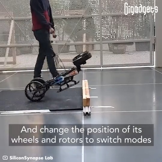 This bio-inspired robot combines the capabilities of a drone's flight, a car's rolling motion, and a meerkat's standing posture. Source GiGadgets