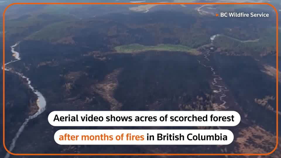 Aerial video of the Vanderhoof-Fort St. James area of British Columbia, Canada, shows thousands of hectares of scorched forest, the vestige of months of unrelenting wildfires