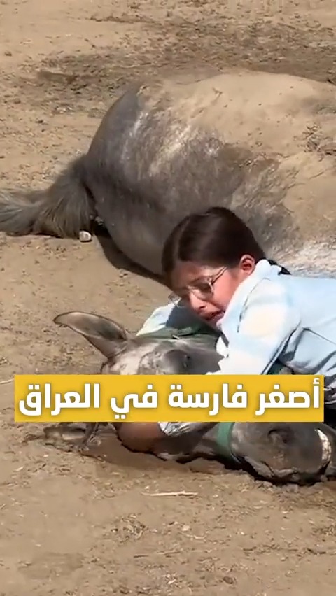 بعد بكائها بحرقة وحزن على فراق حصانها وصديق عمرها.. صاحب السمو الشيخ #محمد_بن_راشد يأمر بإهداء الطفلة لانيا فاخر، أصغر فارسة في #العراق، مجموعة من الخيول، ويوجه بدعمها لإنشاء مركز تدريبي خاص بها HH Sheikh Mohammed