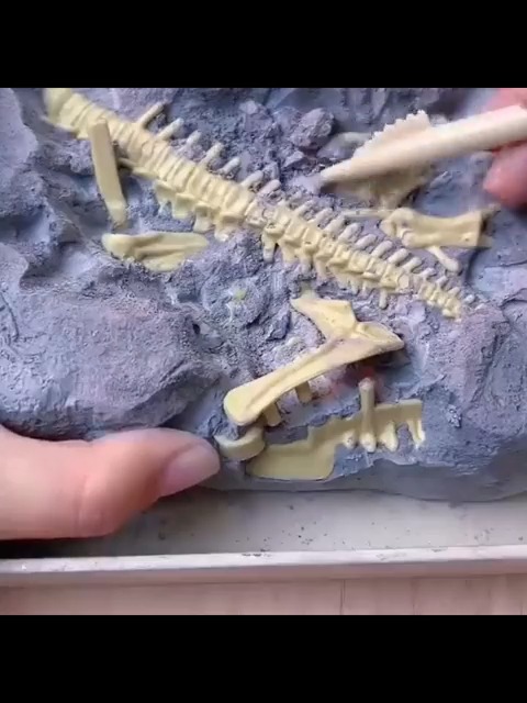 🧐🦖Dig up "prehistoric dinosaur fossils" and piece them together into complete dinosaurs.🦖Kids are crazy about it🥰 🎁Get yours👉