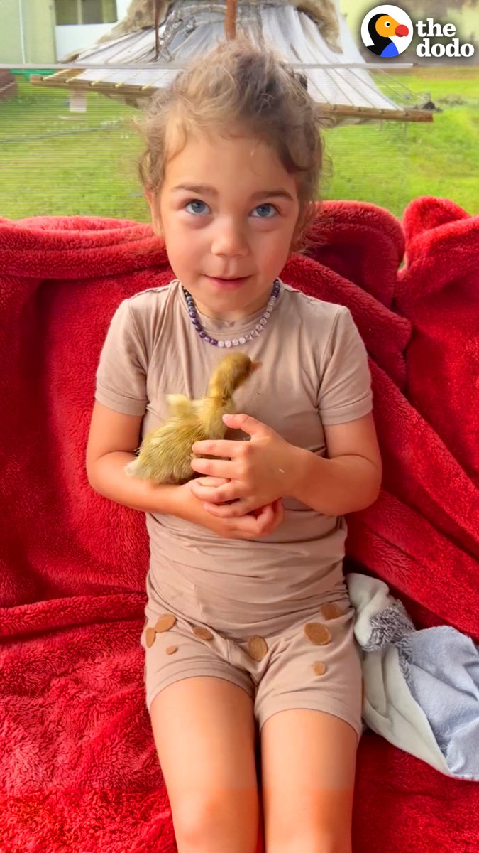 Little girl finds an abandoned duck egg by a pond... and now she has a best friend 💛