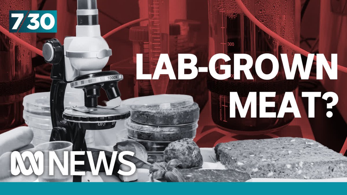 Are you prepared to exchange animal meat for the lab-grown version? Regulators are currently considering whether to approve a lab-grown product for consumption in Australia. @nadiasdaly reports. #abc730