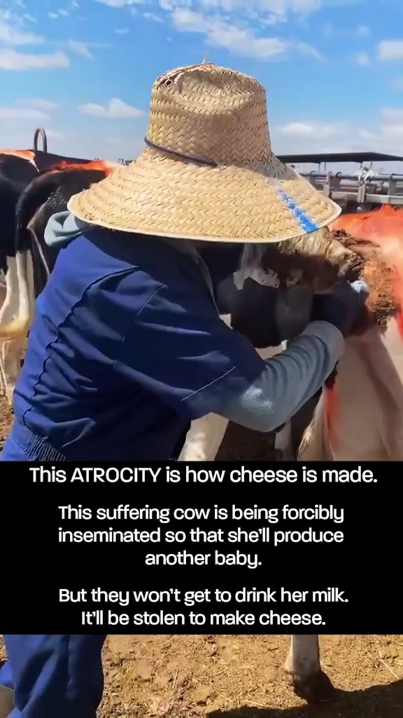 THIS IS DAIRY. 🐮 #DumpDairy