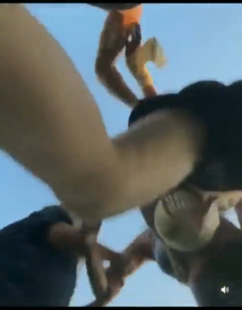 Woman out jogging gets Bum Rushed and Beat Down by a couple of Women because she wasn't wearing a Bra and it was making their husbands thirsty...