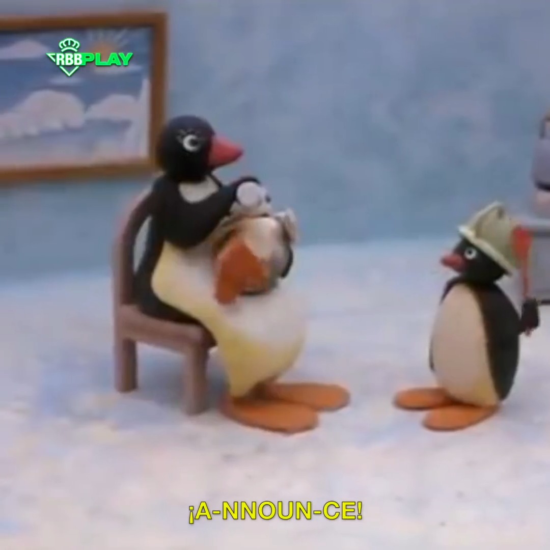 🐧💥🤪 Tranquilo, Pingu.