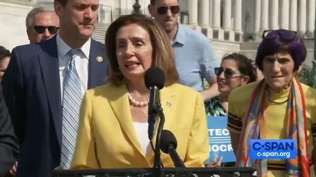 NANCY PELOSI: "Let me applaud you, uh, Adam Schiff — whose name is synonymous with courage, with patriotism, with restoring the faith of the American people in our government!"
