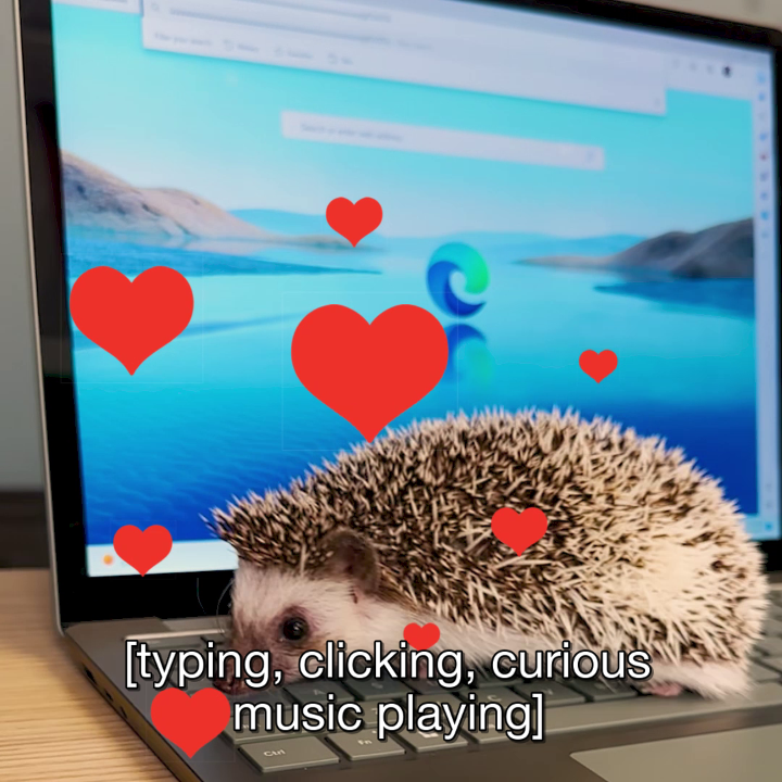 need 3-5 business days to focus on this cute nose. ty @Bing for the assist.