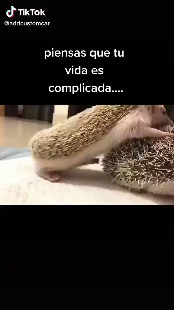 😭🤣😭🤣😭🤣