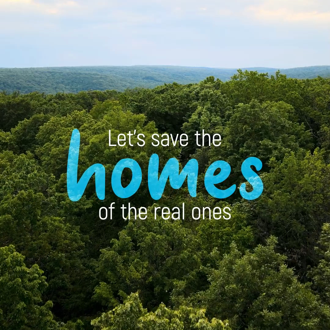 A digital bird has lost its home. Let’s save the homes of the real ones. #SaveForestsNow via @UNREDD: