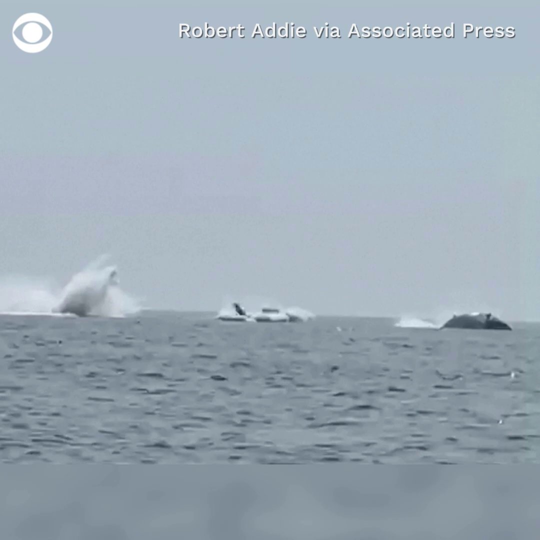 While out fishing with his three daughters, Robert Addie caught something so rare even marine scientists are jealous – a “whale ballet” featuring three humpback whales leaping from the water in near-perfect unison. 🐋 🐋 🐋