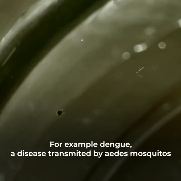 “The #ClimateCrisis is here, and the health crisis associated with the climate crisis is here. It’s now.” Mike Ryan explains how the climate crisis is extending the range of diseases like #dengue and malaria ⬇