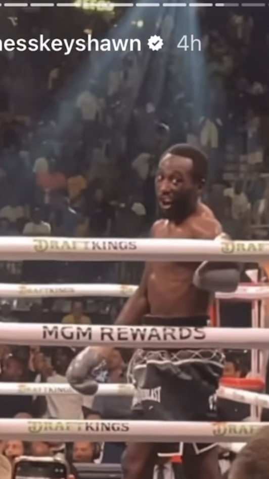 ‼️ Terence Crawford trash talking Jermell Charlo at ringside (red hoodie) after flooring Errol Spence, then celebrating by staring directly at him after getting the knockout… [🎥 Keyshawn Davis]