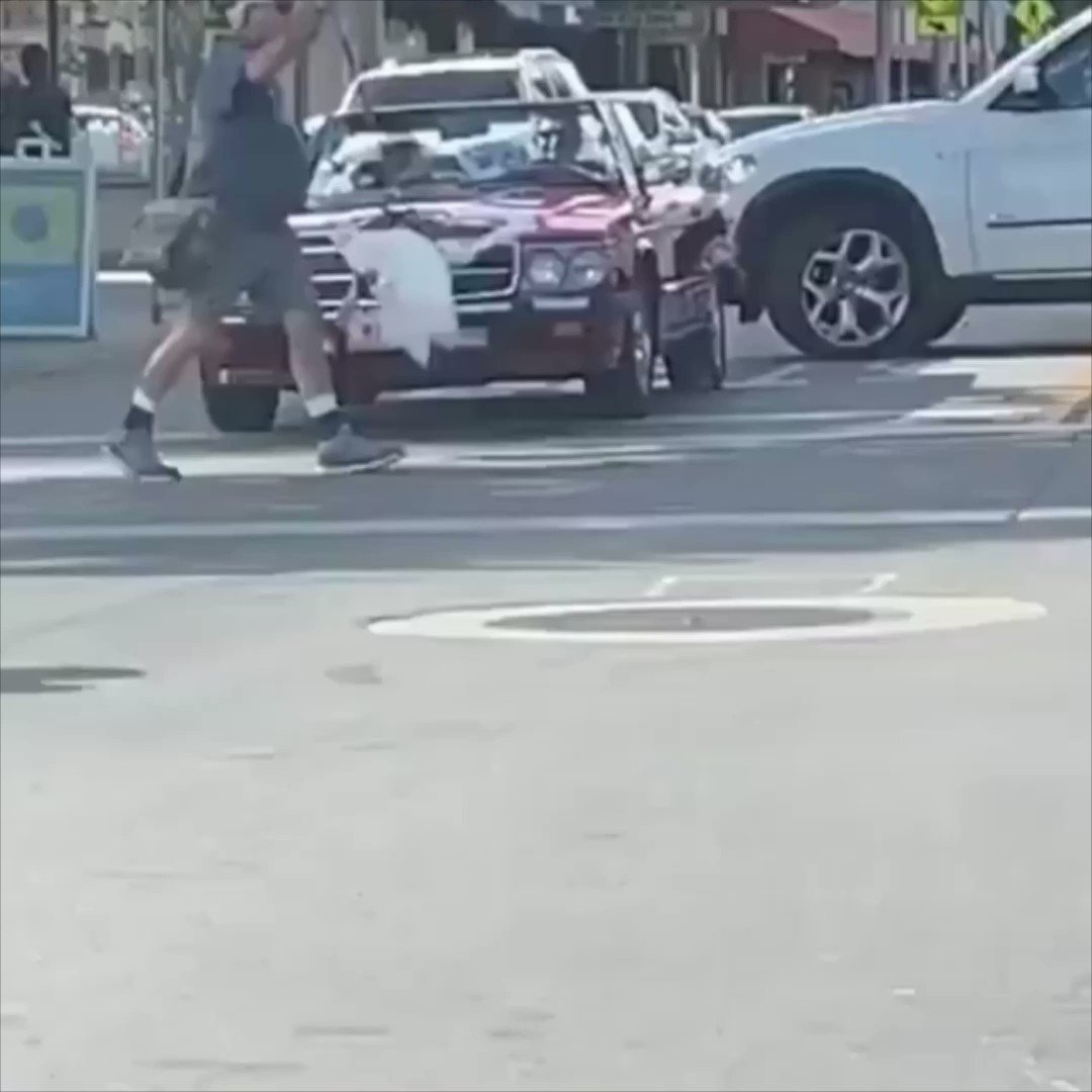 Just a man walking his goose..