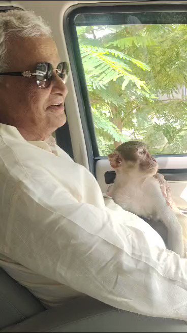 नमो मर्कटाधीशाय श्रीरामप्रियाय श्रीहनुमते। हर जीव के भीतर ईश्वर का वास देखने वाली भारतीय संस्कृति में वानर का महत्त्व अनुपम है। भगवान् श्रीराम के धर्मयुद्ध में सहायक रहे वानरों को भारतीय श्रीहनुमान् जी के रूप में पूजते हैं। आज हनुमान् जी की कृपा मुझ पर भी हुई। जय वज्रांग बली।