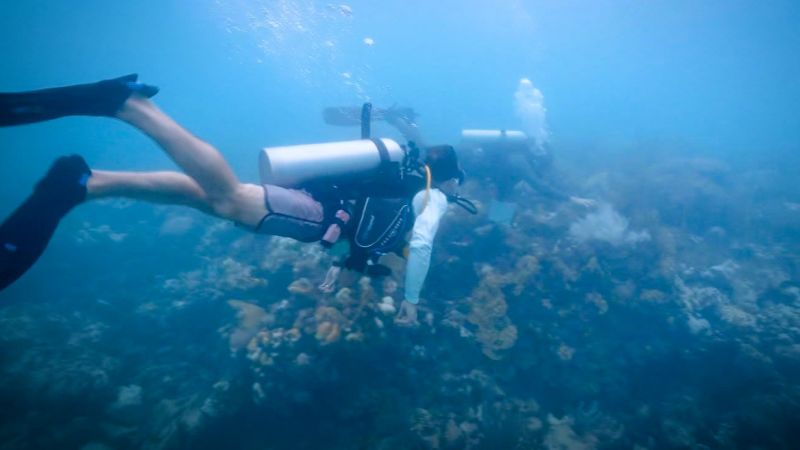 CNN's Derek Van Dam joins scientists on dives off the coast of Florida to see firsthand how hot ocean temperatures impact coral reefs