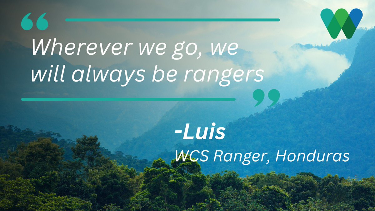On #WorldRangerDay, let’s celebrate all the rangers and environmental defenders around the world who dedicate their lives to protecting critical ecosystems and the people and wildlife that rely on them. Say thanks with us: