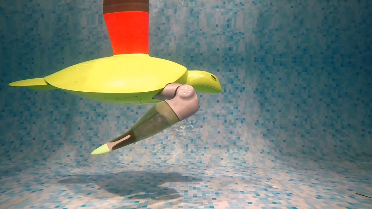 A Scientific Reports paper presents a soft-robotic sea turtle that reproduces the real animal's form and function to provide biomechanical insights without the need for invasive experimentation.
