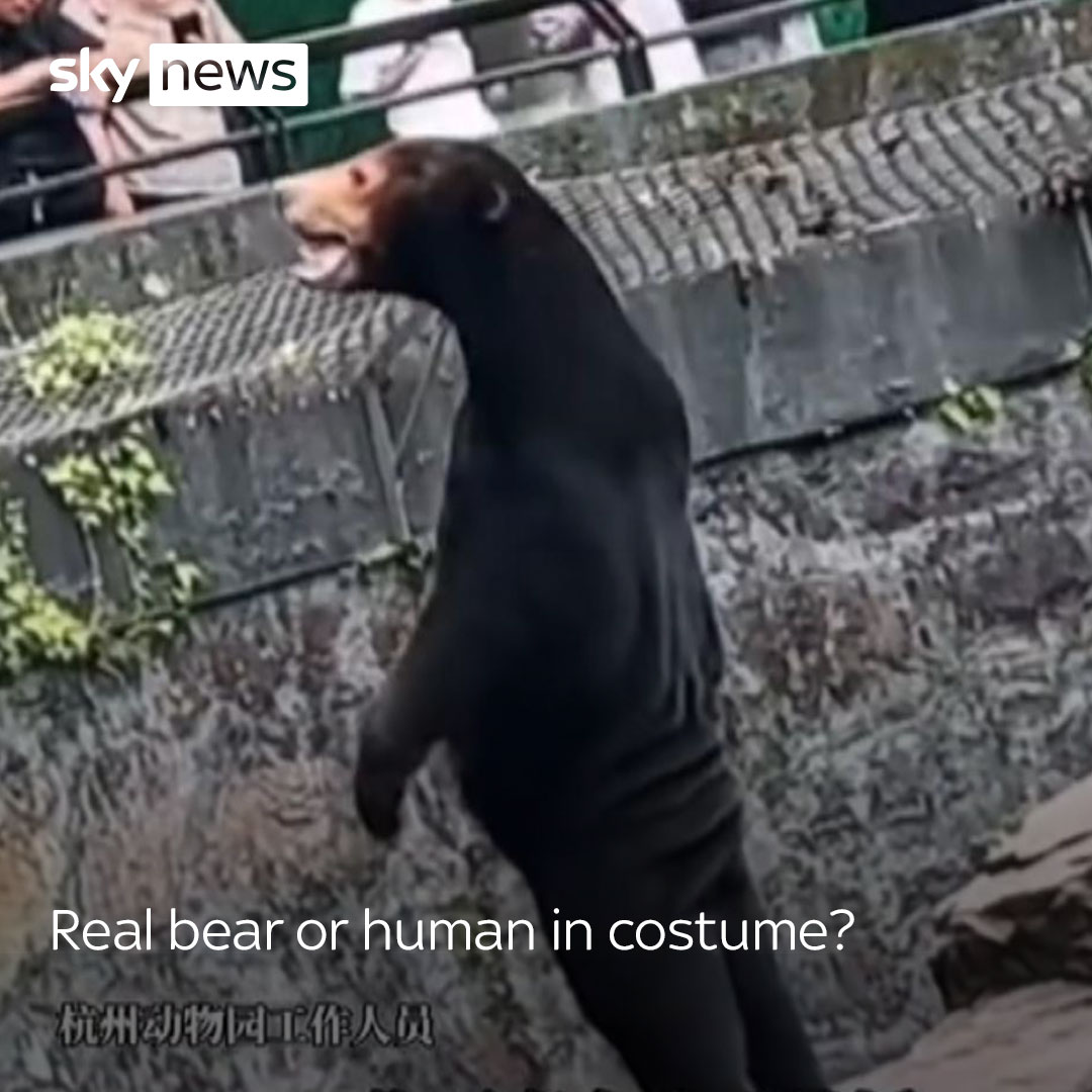 A zoo in China has denied suggestions some of its bears might be people in costumes after photos of the animals standing like humans circulated online. Read more: