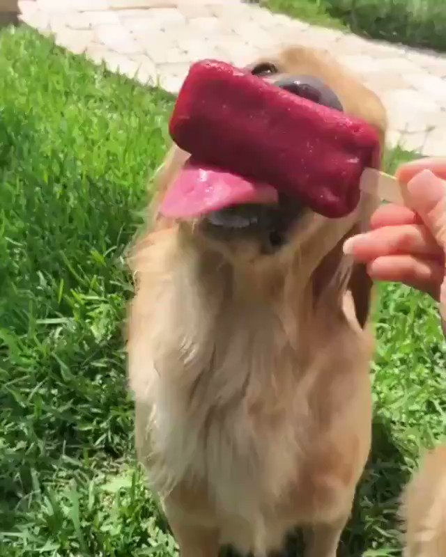 El final me alegro el día!!😂