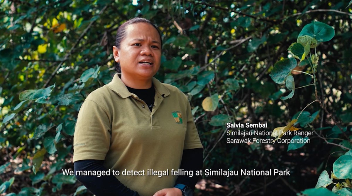 How are rangers protecting remote areas in Similajau National Park? This #WorldRangerDay, find out how access makes all the difference. Retweet to show your support and check out how #Tech4Nature is helping rangers protect wildlife worldwide! #TECH4ALL