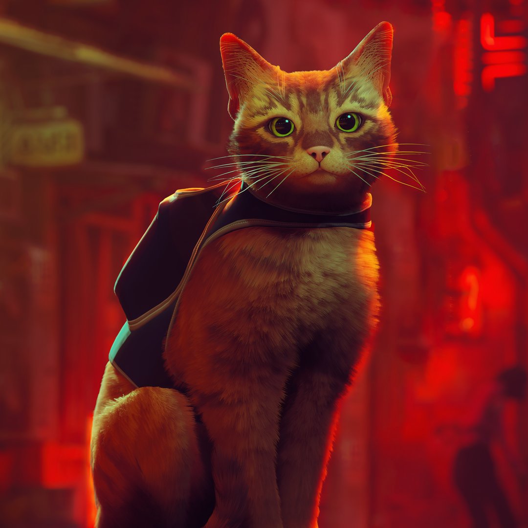 STRAY is now available for pre-order on Xbox with a limited time 20% off discount //