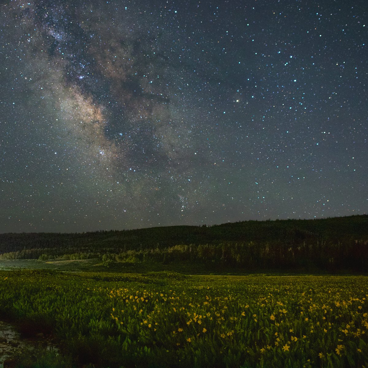 Keep your eyes on the sky throughout August. You'll see Saturn at dusk and dawn, the Perseid meteors return, and you may even catch a "super blue moon," so-called when there are two full moons in a month. Get details in our monthly episode of What’s Up: