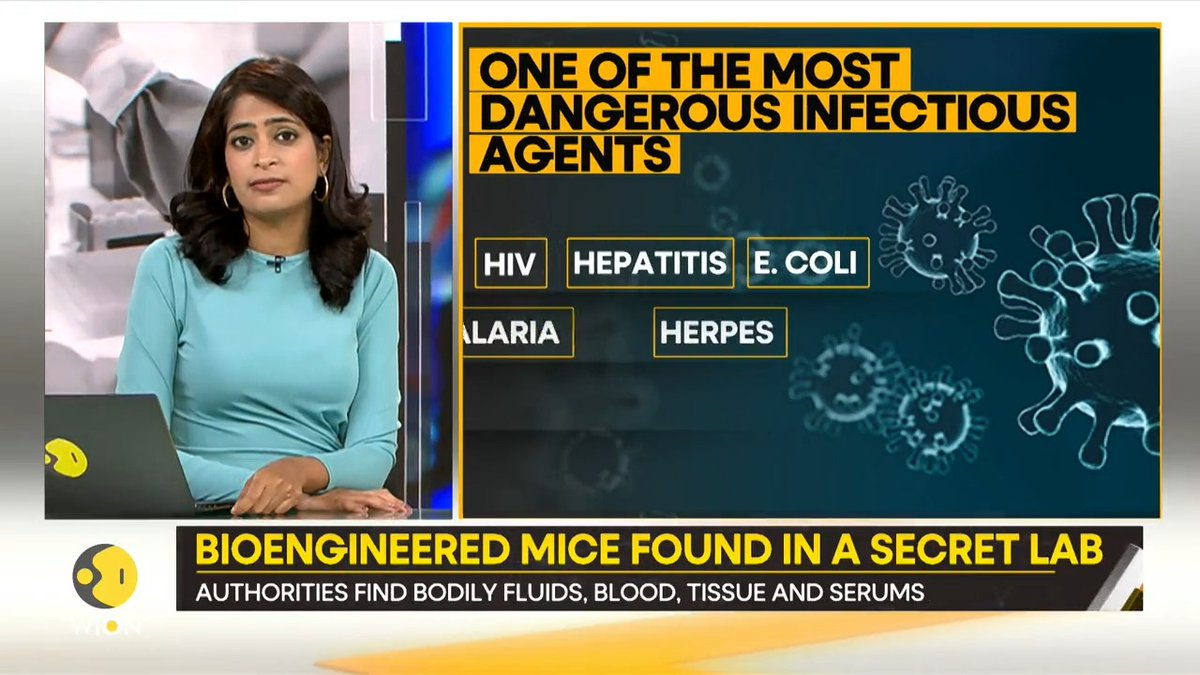 #Gravitas | US authorities have uncovered a secret lab in California. The secret lab contained nearly 1,000 bioengineered mice. The mice were trained to spread coronavirus. Is this America's Wuhan lab? Molly Gambhir brings you a report.